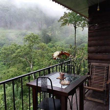 Green Lushy Home Stay Ella Bagian luar foto