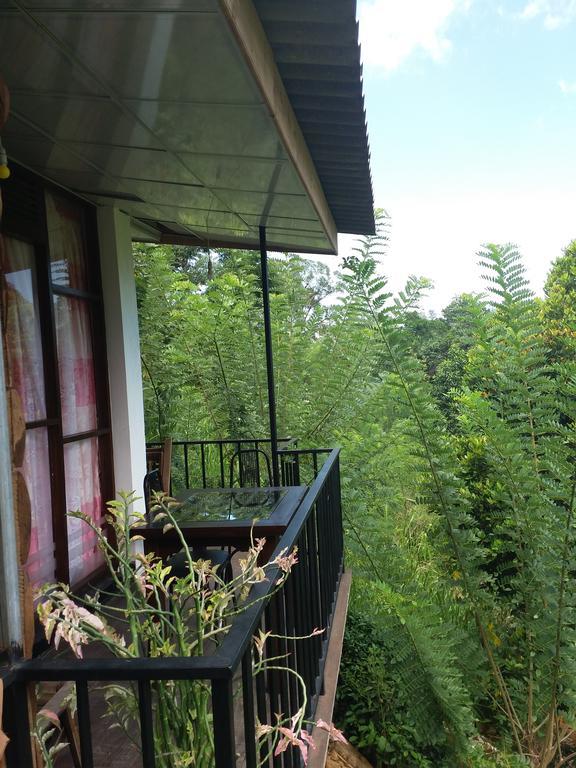Green Lushy Home Stay Ella Bagian luar foto