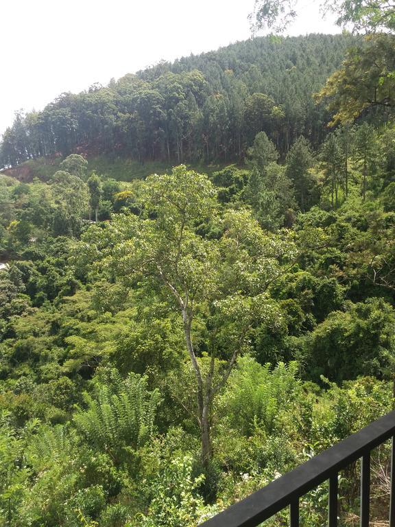 Green Lushy Home Stay Ella Bagian luar foto