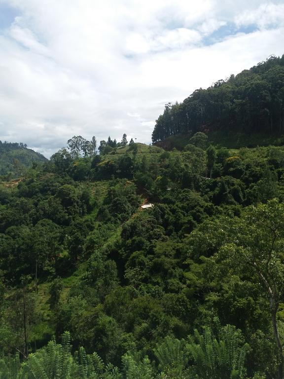 Green Lushy Home Stay Ella Bagian luar foto