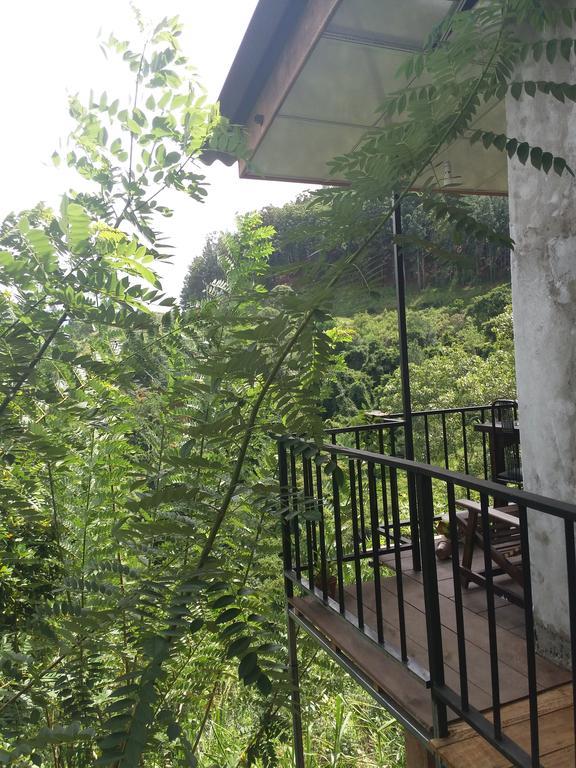 Green Lushy Home Stay Ella Bagian luar foto