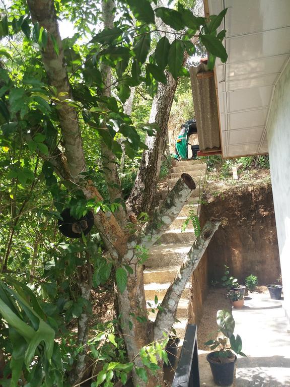 Green Lushy Home Stay Ella Bagian luar foto