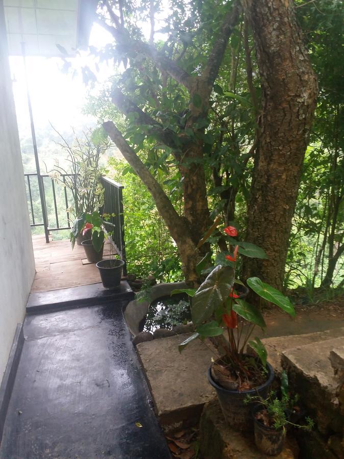 Green Lushy Home Stay Ella Bagian luar foto