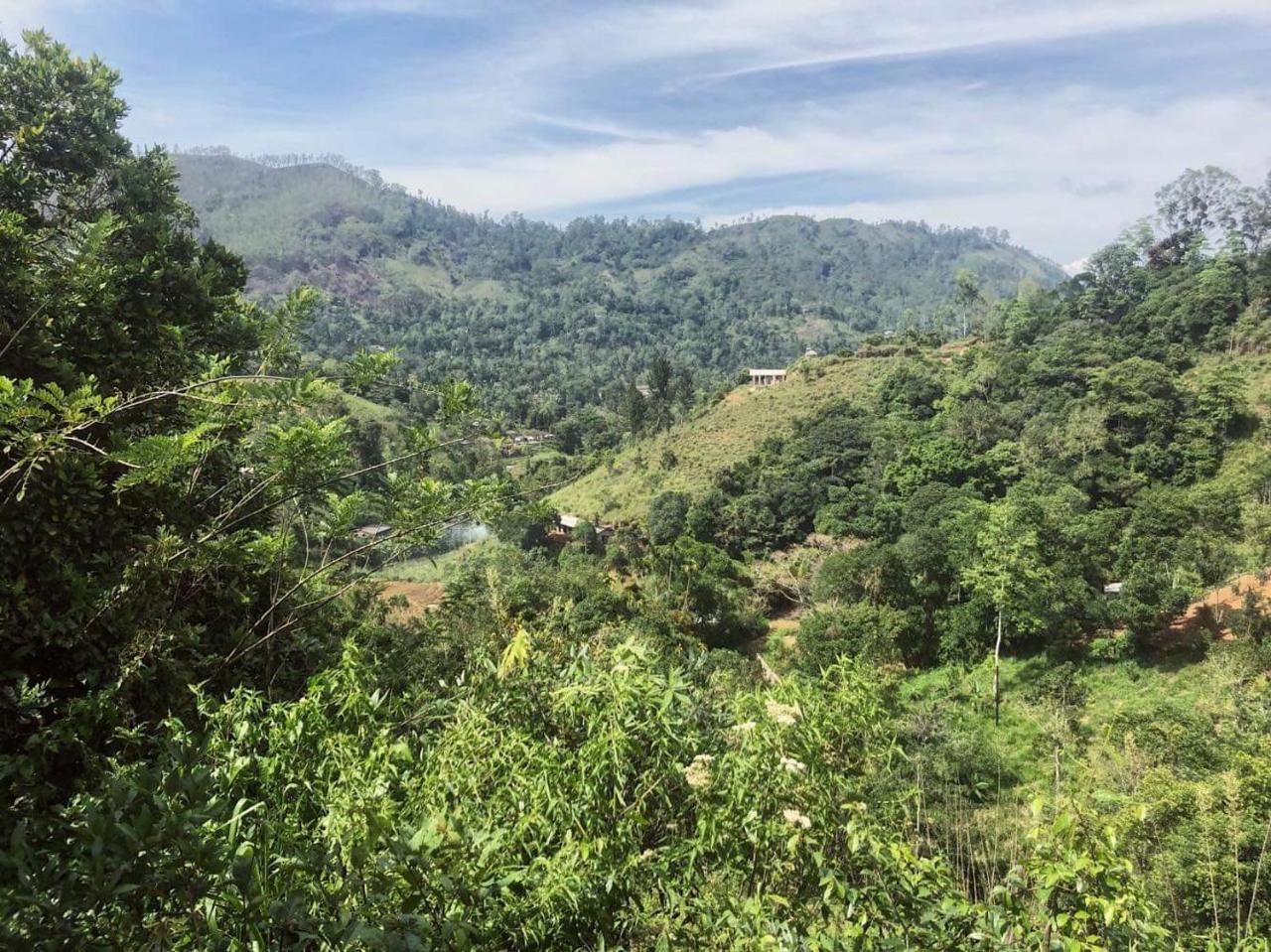 Green Lushy Home Stay Ella Bagian luar foto
