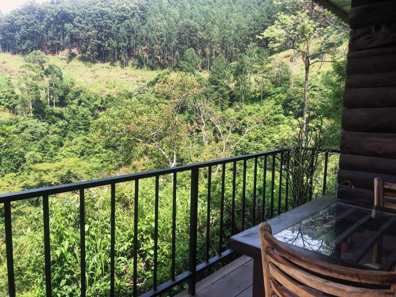 Green Lushy Home Stay Ella Bagian luar foto